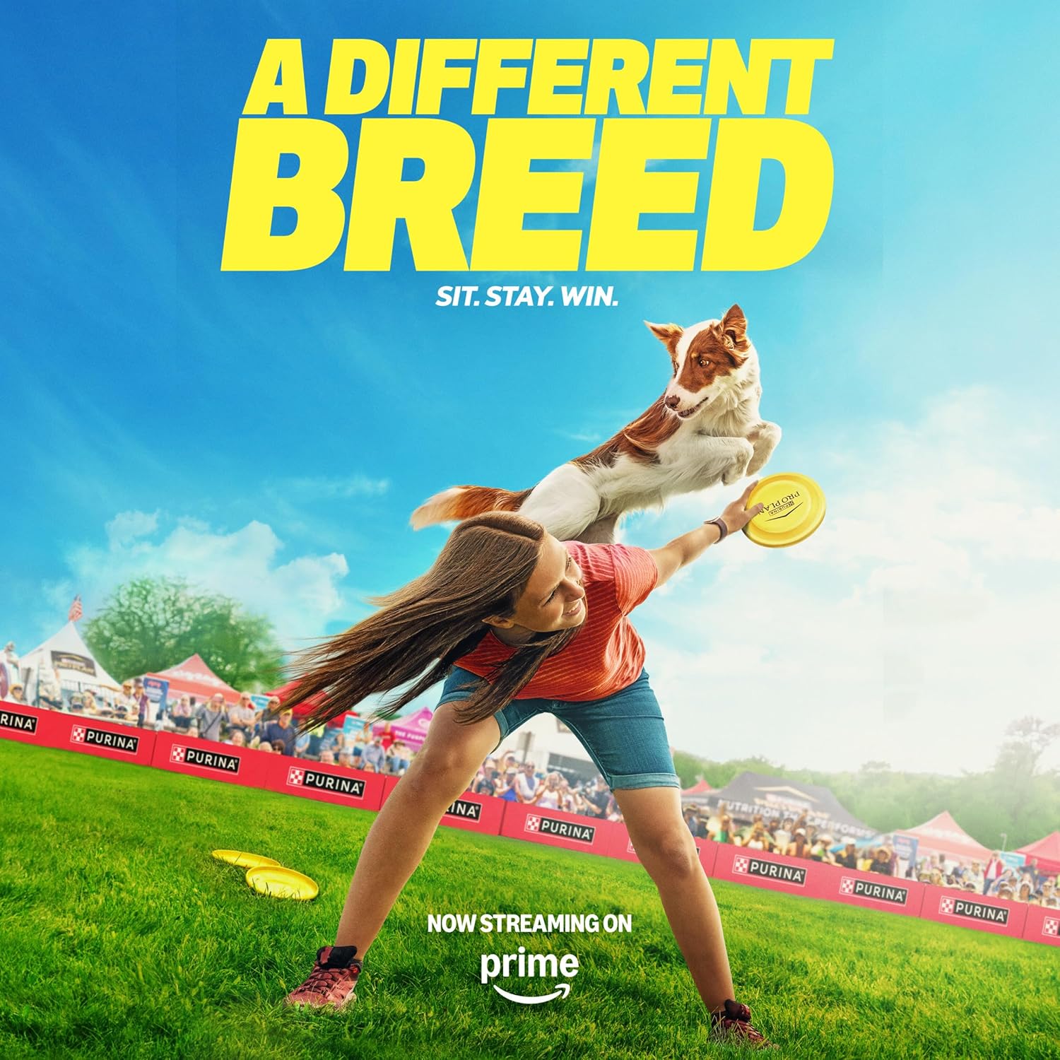 Purina Pro Plan Complete Essentials Shredded Blend Salmon and Rice Dog Food Dry Formula with Probiotics for Dogs - 33 Lb. Bag