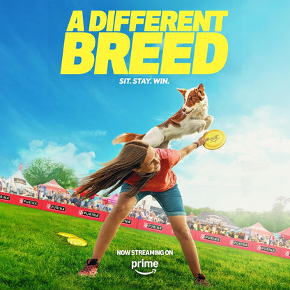 Purina Pro Plan Complete Essentials Shredded Blend Salmon and Rice Dog Food Dry Formula with Probiotics for Dogs - 33 Lb. Bag