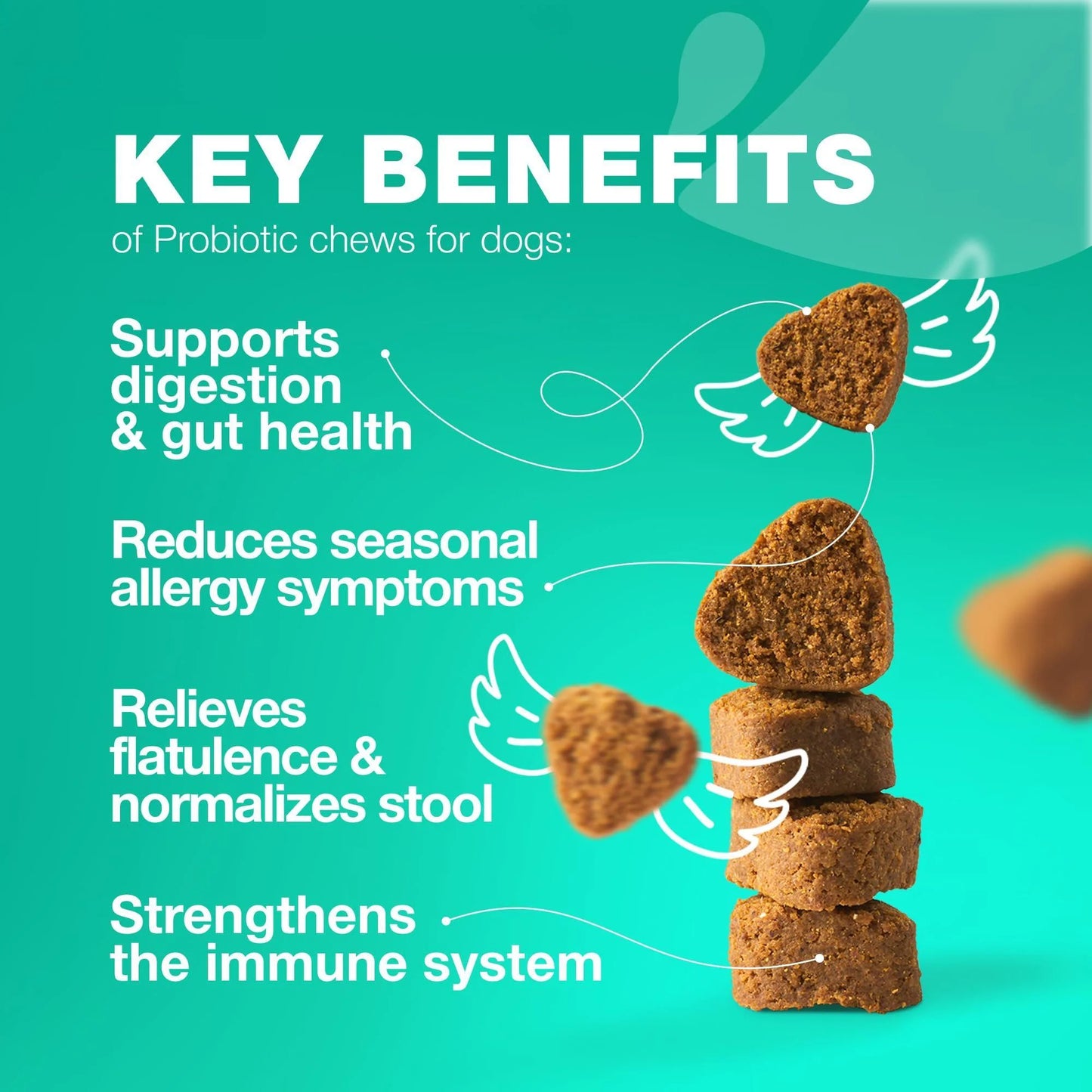 Probiotics for Dogs Gut Health Digestion Immunity Yeast Balance Itchy Skin Allergies Support Dog Probiotic Chews with Digestive Enzymes for Gut Flora Soft Treats with Pumpkin and Yeast Powder
