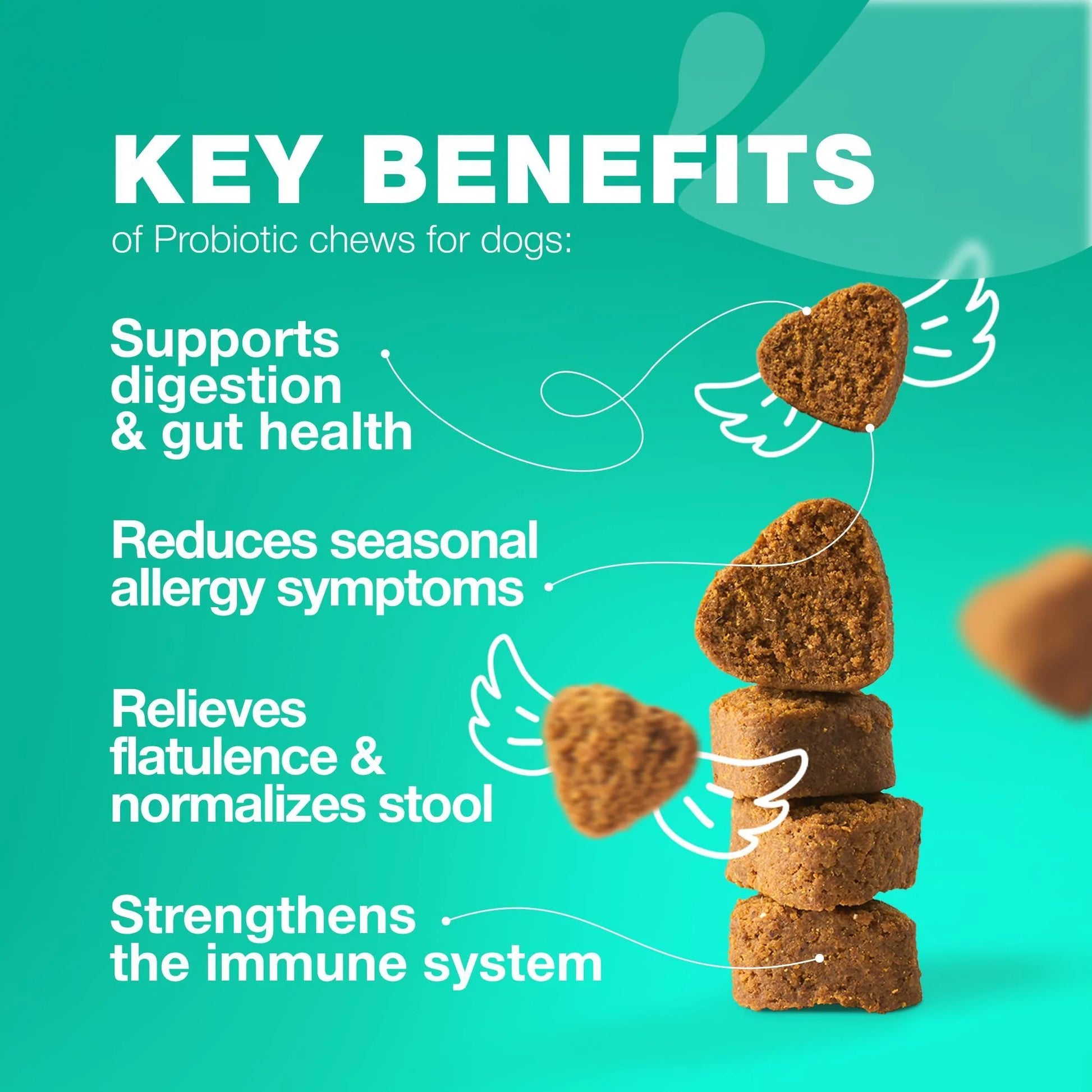 Probiotics for Dogs Gut Health Digestion Immunity Yeast Balance Itchy Skin Allergies Support Dog Probiotic Chews with Digestive Enzymes for Gut Flora Soft Treats with Pumpkin and Yeast Powder