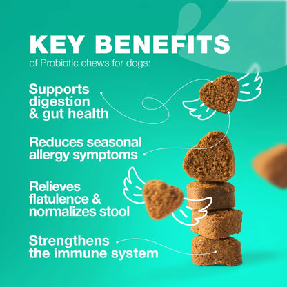 Probiotics for Dogs Gut Health Digestion Immunity Yeast Balance Itchy Skin Allergies Support Dog Probiotic Chews with Digestive Enzymes for Gut Flora Soft Treats with Pumpkin and Yeast Powder