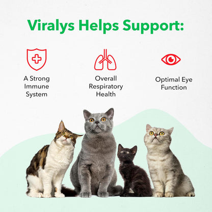 Viralys Daily L-Lysine Gel for Cats and Kittens, Maple Flavored Lysine Supplement for Cats and Kittens to Support Immune Health, Normal Eye Function and Respiratory Health, 5Oz