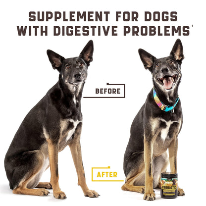 Green & Beautiful Lawn: Reduce Yellow Patches with Green Lawn Chews for Healthy Dogs! Easy Lower Nitrogen in Dog Urine and Deal with Unwanted Yellow Burn Spots.