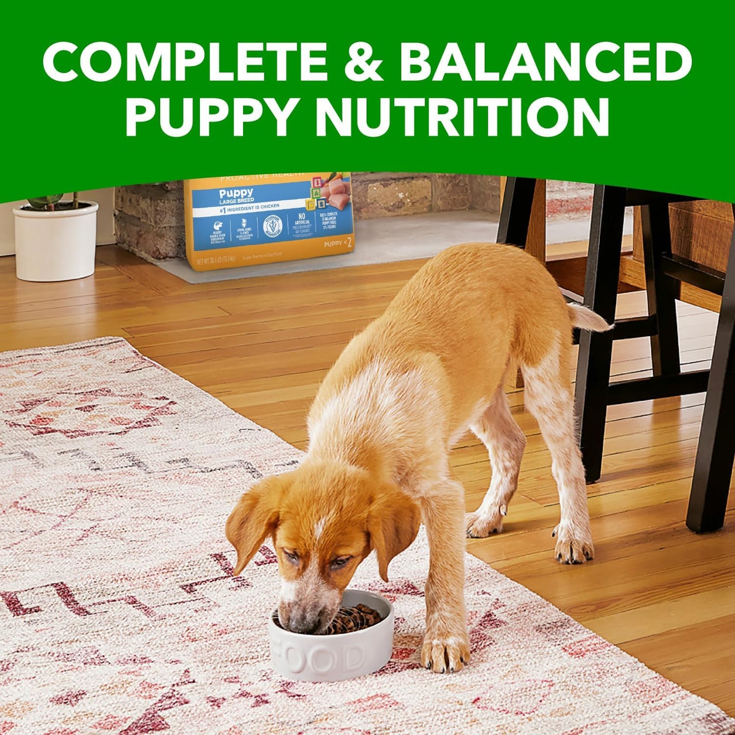 Proactive Health Large Breed Puppy Food with Real Chicken, 30.6 Lb. Bag