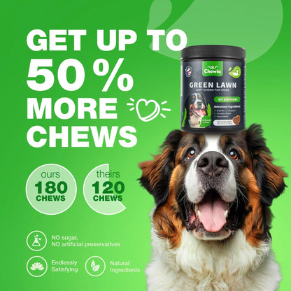 Grass Spot Chews for Dogs Probiotic Multivitamins Enzymes Vitality & UTI & Digective Support Urine Neutralizer for Lawn