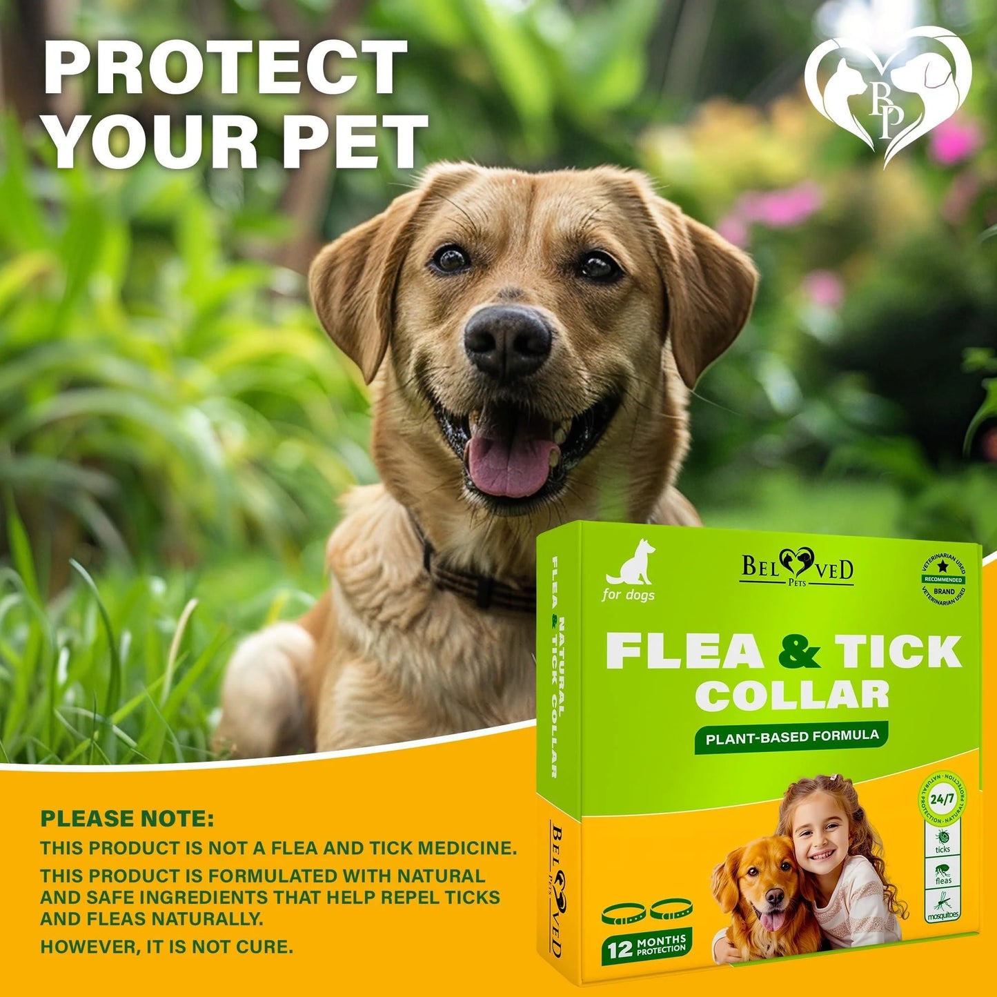 Natural Flea & Tick Collar for Dogs 6 Months Control of Best Prevention & Safe Treatment anti Fleas and Ticks Essential Oil Repellent (1 Pack 2 Count)