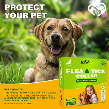 Natural Flea & Tick Collar for Dogs 6 Months Control of Best Prevention & Safe Treatment anti Fleas and Ticks Essential Oil Repellent (1 Pack 2 Count)
