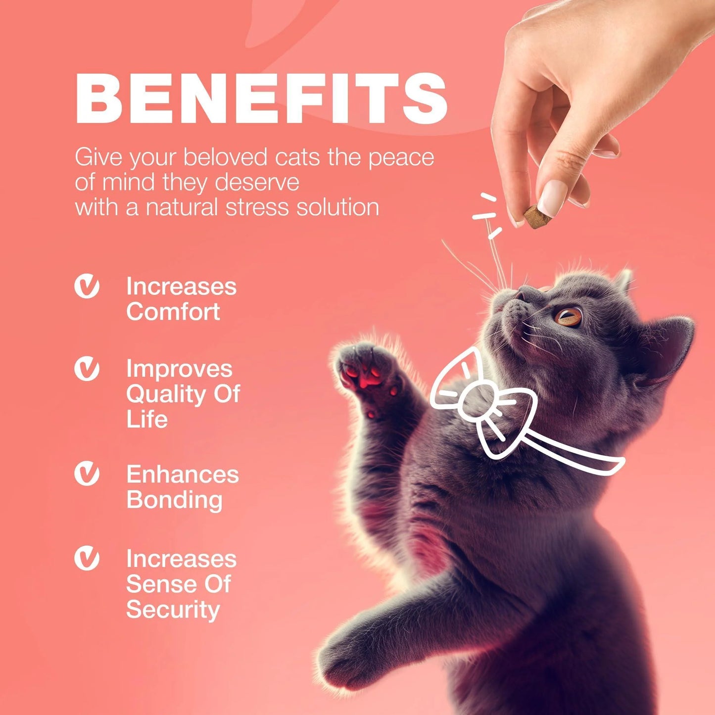 Insects Treatment for Cats Daily Oral Cat Insects Treatment Chews Chewable