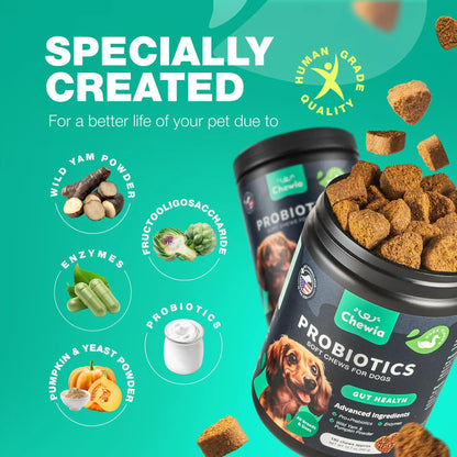 Probiotics for Dogs Gut Health Digestion Immunity Yeast Balance Itchy Skin Allergies Support Dog Probiotic Chews with Digestive Enzymes for Gut Flora Soft Treats with Pumpkin and Yeast Powder