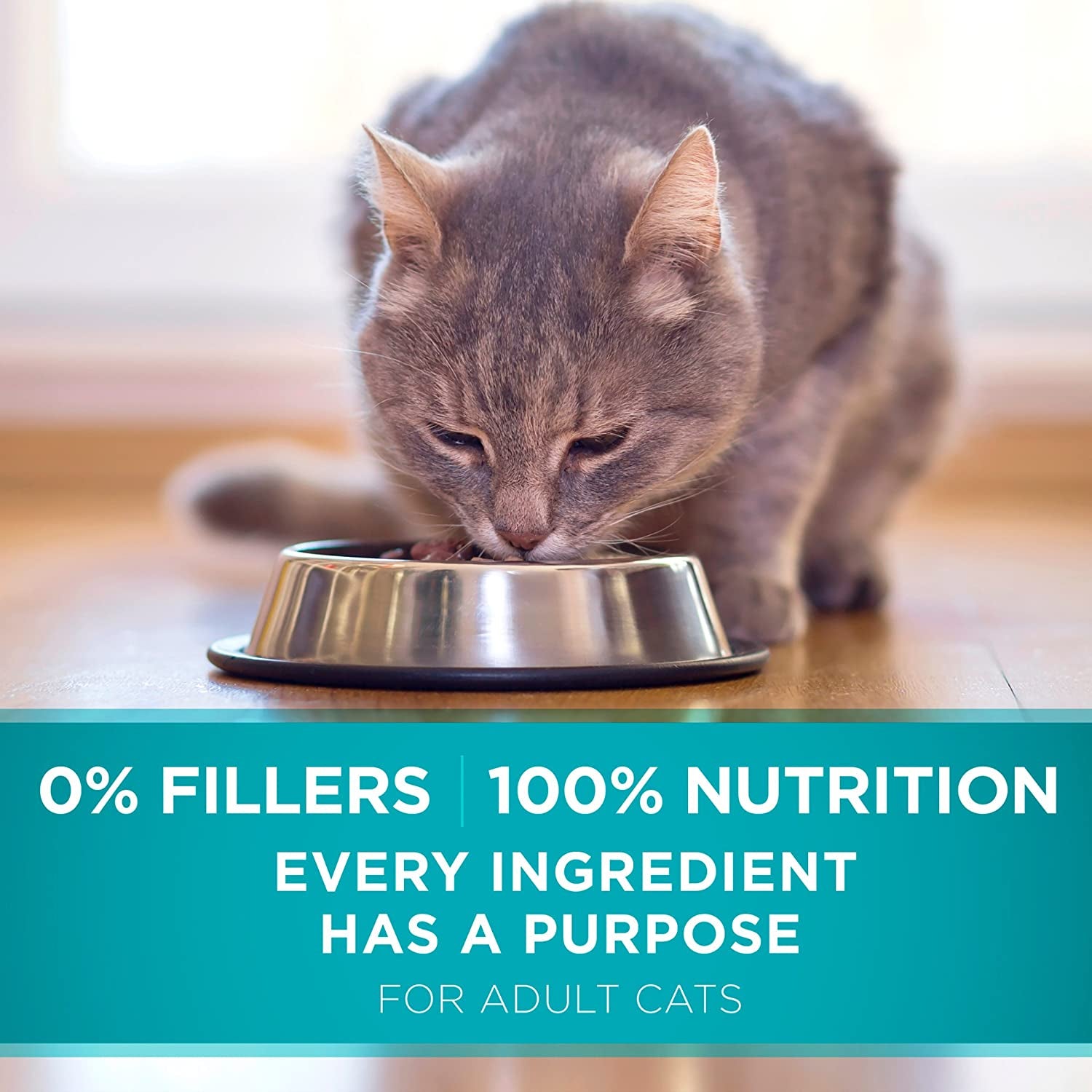 Purina ONE Natural Dry Cat Food, Tender Selects Blend with Real Salmon 