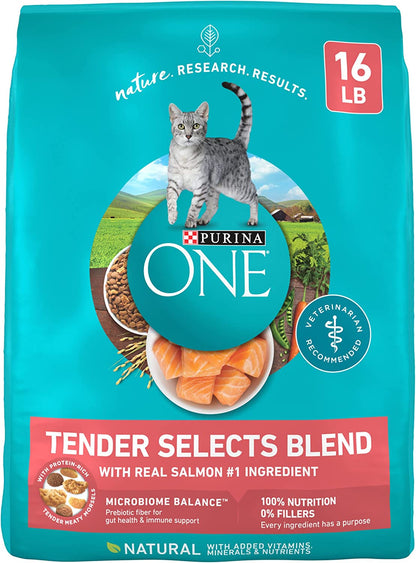 Purina ONE Natural Dry Cat Food, Tender Selects Blend with Real Salmon 
