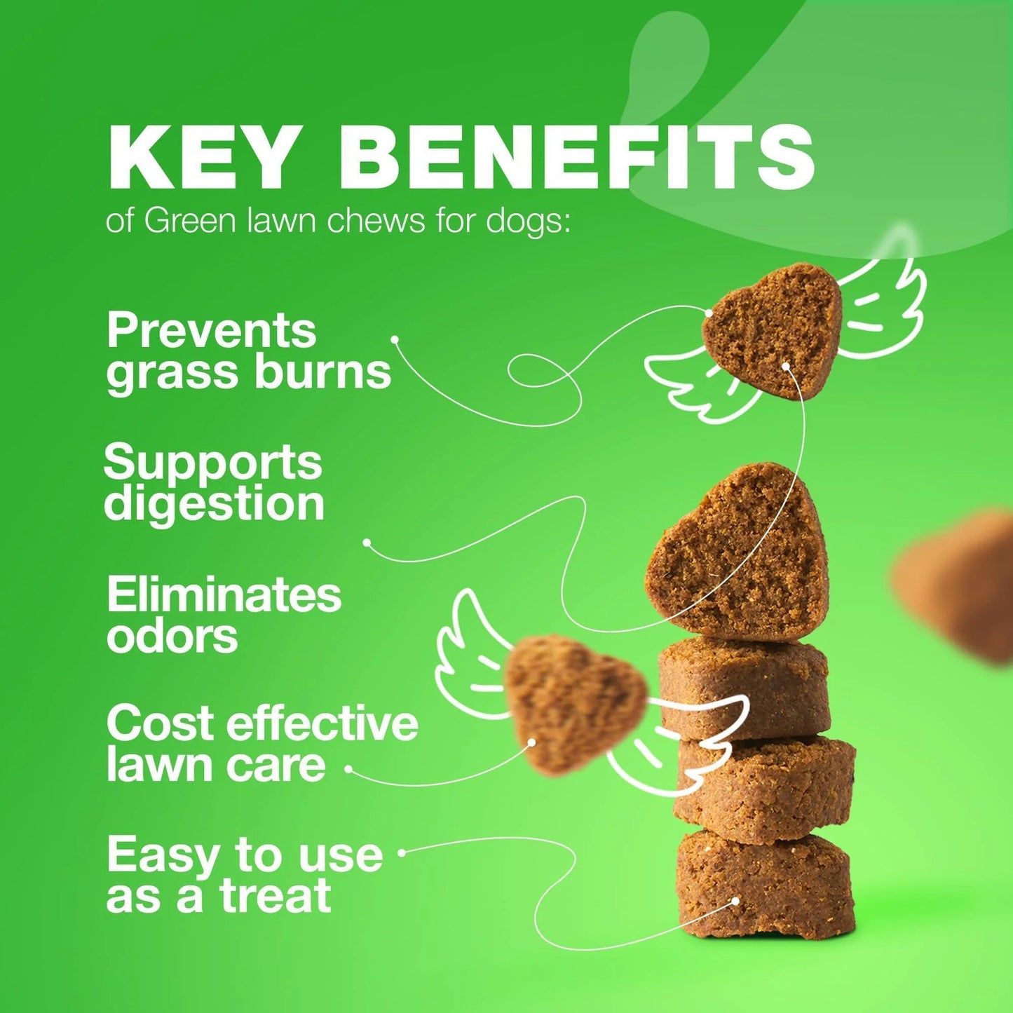 Grass Spot Chews for Dogs Probiotic Multivitamins Enzymes Vitality & UTI & Digective Support Urine Neutralizer for Lawn