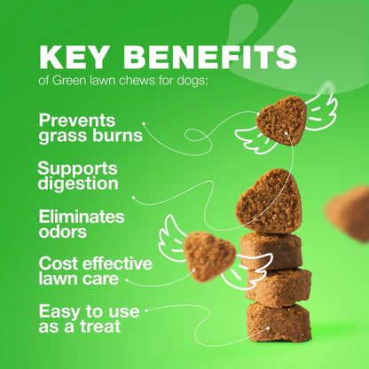 Grass Spot Chews for Dogs Probiotic Multivitamins Enzymes Vitality & UTI & Digective Support Urine Neutralizer for Lawn