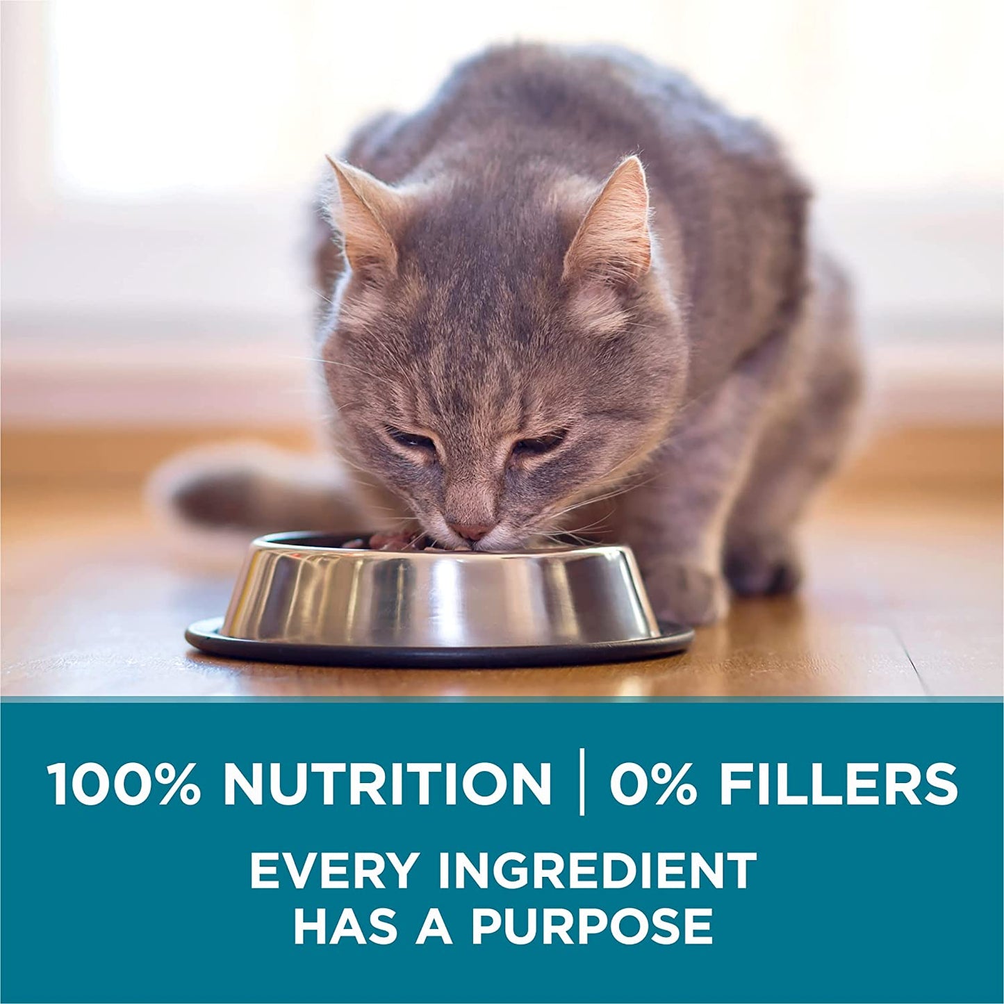 Purina ONE Natural Dry Cat Food, Tender Selects Blend with Real Salmon 