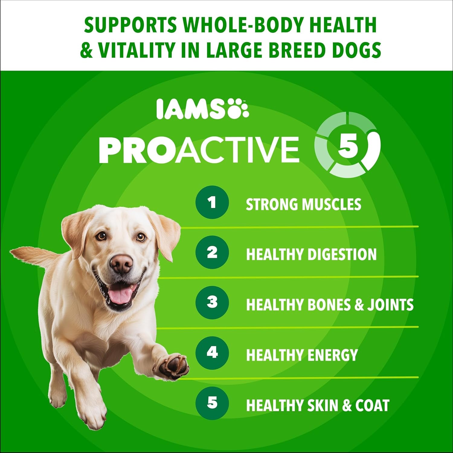 IAMS Proactive Health Large Breed Adult Dry Dog Food Chicken & Whole Grain Recipe