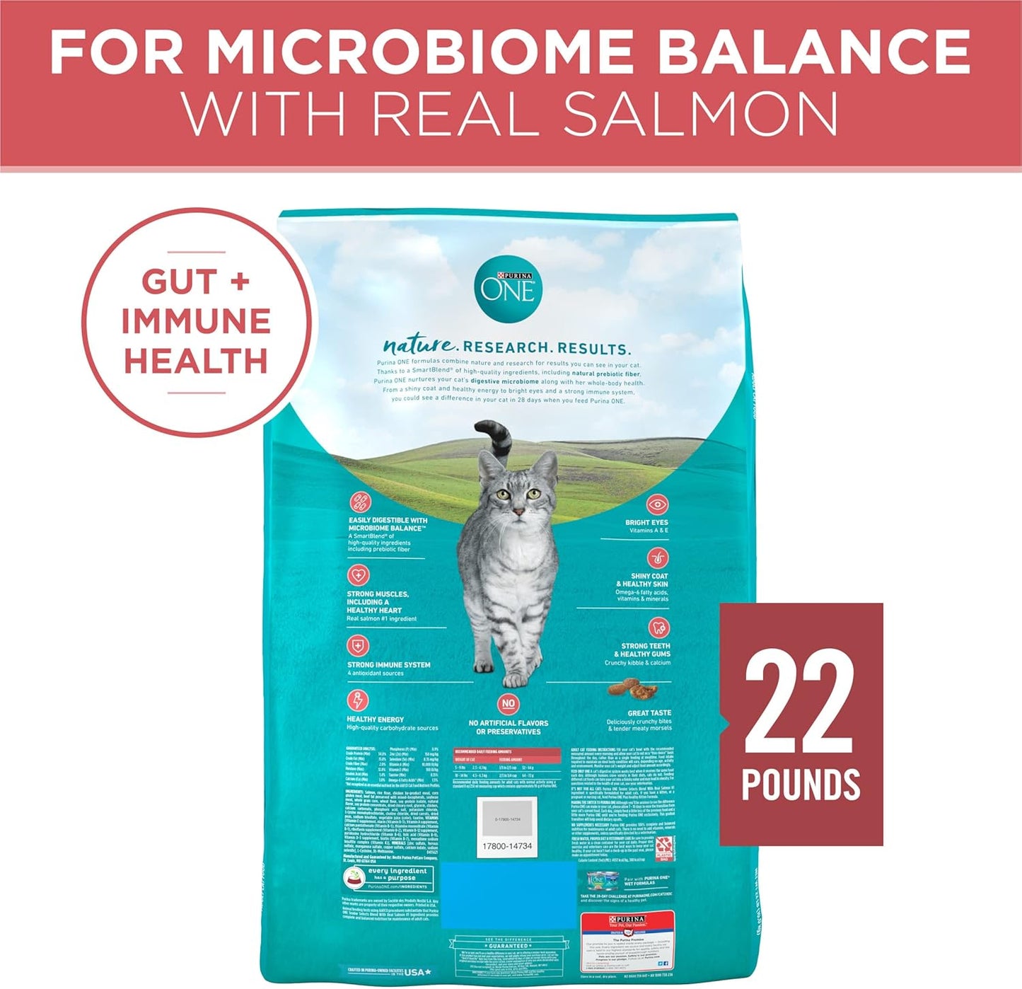 Purina ONE Natural Dry Cat Food, Tender Selects Blend with Real Salmon 