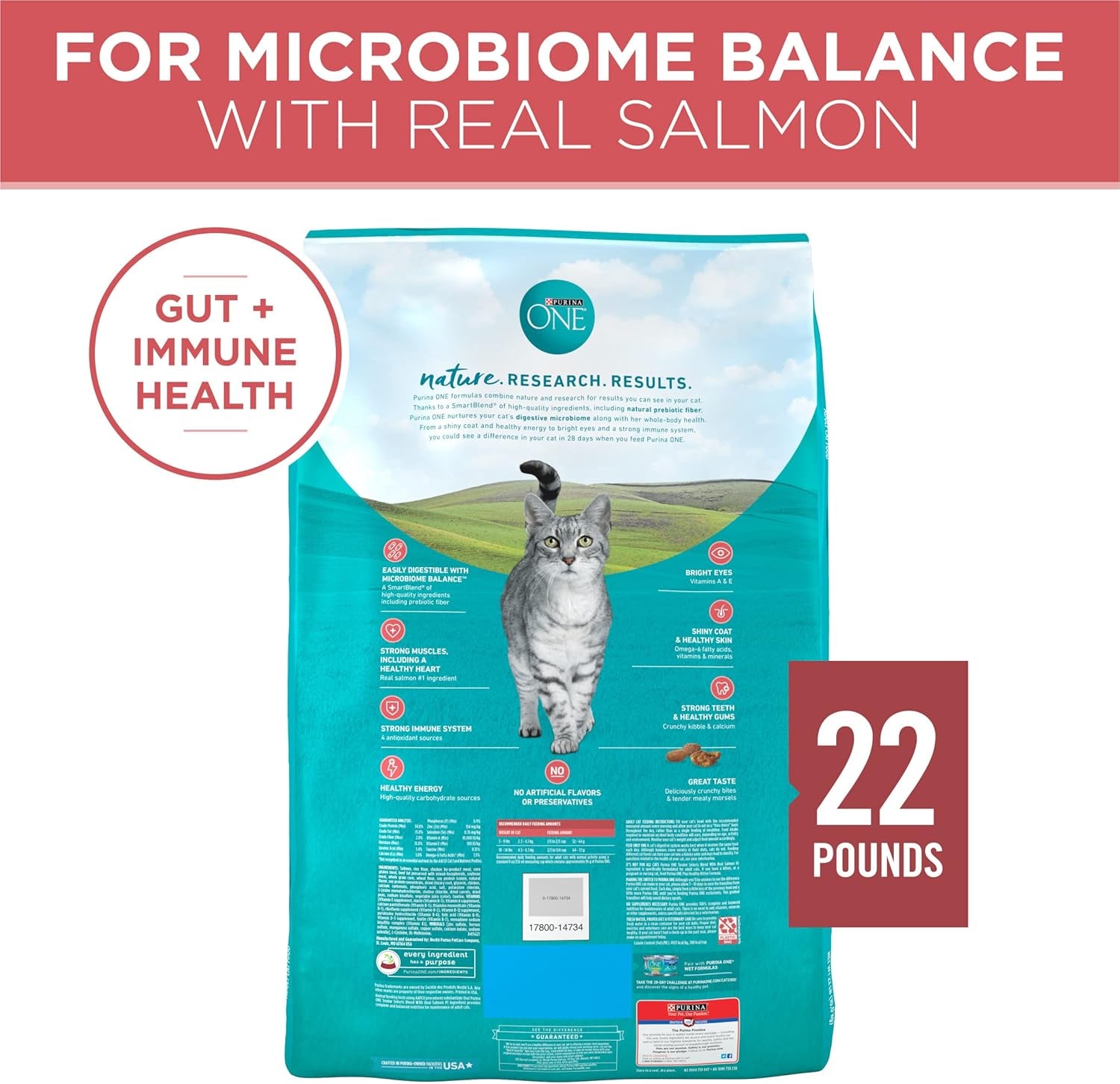 Purina ONE Natural Dry Cat Food, Tender Selects Blend with Real Salmon 