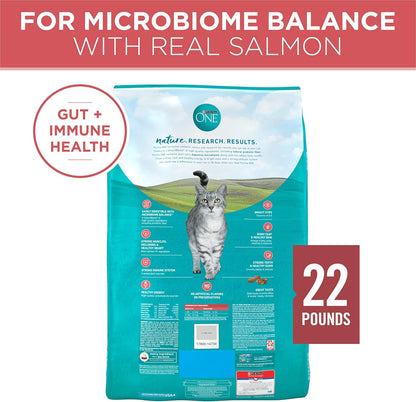 Purina ONE Natural Dry Cat Food, Tender Selects Blend with Real Salmon 